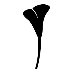 calla lily flower minimalist silhouette vector - for nature graphic design projects calla lily, plant flower modern artwork.