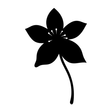 recommend clip art: clematis flower minimalist silhouette vector - for nature graphic design projects clematis, plant flower modern artwork.