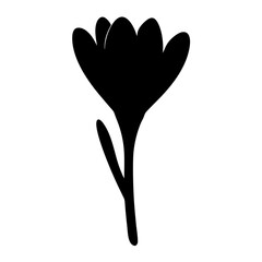 crocus flower minimalist silhouette vector - for nature graphic design projects crocus, plant flower modern artwork.