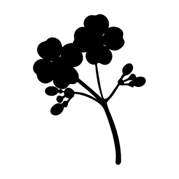 recommend clip art: geranium flower minimalist silhouette vector - for nature graphic design projects geranium, plant flower modern artwork.