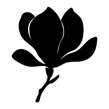 recommend clip art: magnolia flower minimalist silhouette vector - for nature graphic design projects magnolia, plant flower modern artwork.