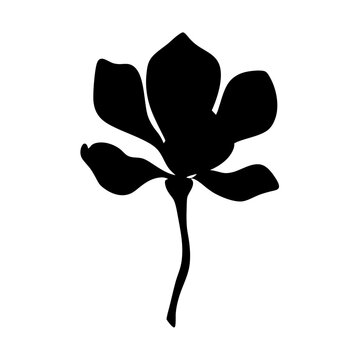 recommend clip art: magnolia flower minimalist silhouette vector - for nature graphic design projects magnolia, plant flower modern artwork.