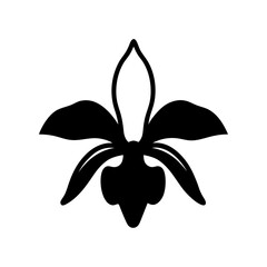 orchid flower minimalist silhouette vector - for nature graphic design projects orchid, plant flower modern artwork.