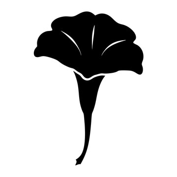 recommend clip art: petunia flower minimalist silhouette vector - for nature graphic design projects petunia, plant flower modern artwork.