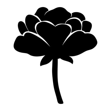 recommend clip art: ranunculus flower minimalist silhouette vector - for nature graphic design projects ranunculus, plant flower modern artwork.
