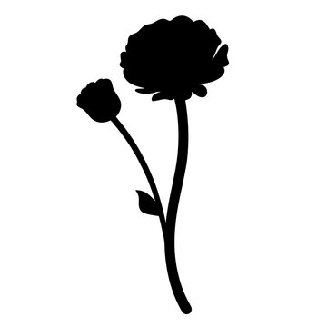 recommend clip art: ranunculus flower minimalist silhouette vector - for nature graphic design projects ranunculus, plant flower modern artwork.