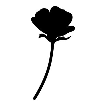 recommend clip art: ranunculus flower minimalist silhouette vector - for nature graphic design projects ranunculus, plant flower modern artwork.