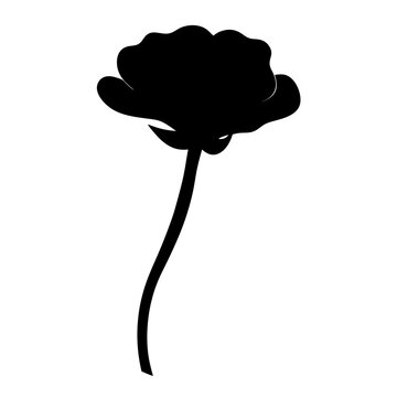 recommend clip art: ranunculus flower minimalist silhouette vector - for nature graphic design projects ranunculus, plant flower modern artwork.