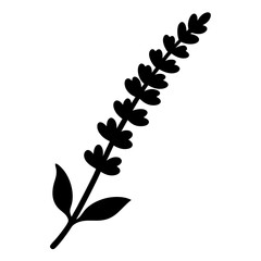 salvia flower minimalist silhouette vector - for nature graphic design projects salvia, plant flower modern artwork.