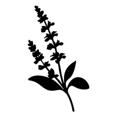 salvia flower minimalist silhouette vector - for nature graphic design projects salvia, plant flower modern artwork.