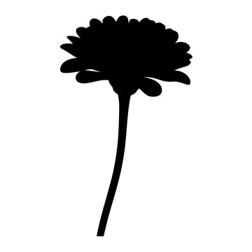 recommend clip art: zinnia flower minimalist silhouette vector - for nature graphic design projects zinnia, plant flower modern artwork.
