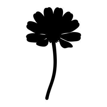 recommend clip art: zinnia flower minimalist silhouette vector - for nature graphic design projects zinnia, plant flower modern artwork.