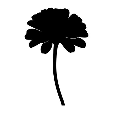 recommend clip art: zinnia flower minimalist silhouette vector - for nature graphic design projects zinnia, plant flower modern artwork.