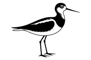 sandpiper silhouette line art vector illustration with a white background