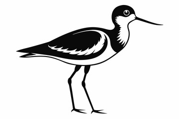sandpiper silhouette line art vector illustration with a white background