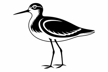 sandpiper silhouette line art vector illustration with a white background