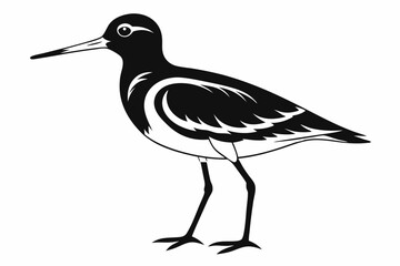 sandpiper silhouette line art vector illustration with a white background