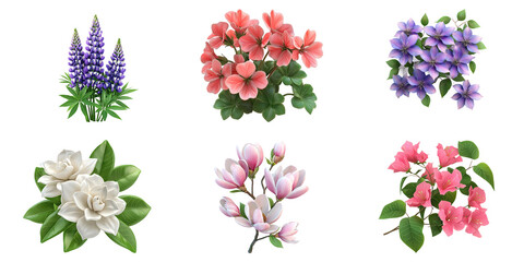 Selection of different flowers placed on white background.