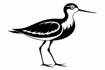 sandpiper silhouette line art vector illustration with a white background