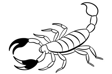 scorpion silhouette line art vector illustration with a white background