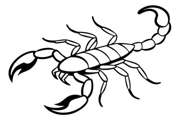 scorpion silhouette line art vector illustration with a white background