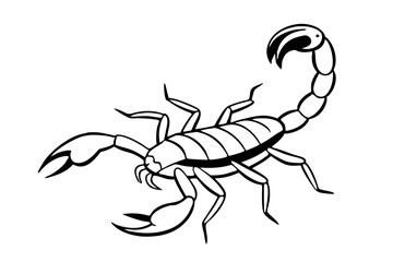 scorpion silhouette line art vector illustration with a white background