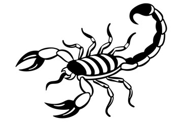 scorpion silhouette line art vector illustration with a white background