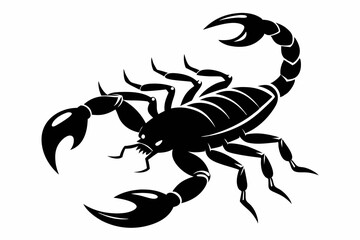 scorpion silhouette line art vector illustration with a white background