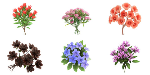 Mixed floral collection on a white background.
