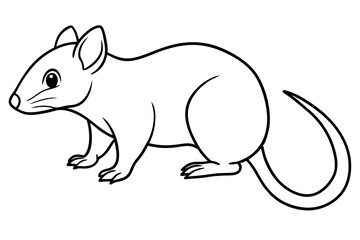 shrew line art