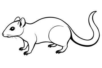 shrew line art