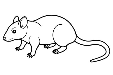 shrew line art