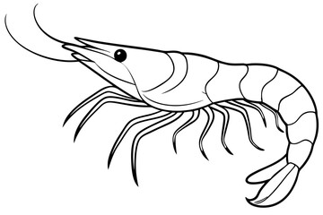 shrimp silhouette line art vector illustration with a white background