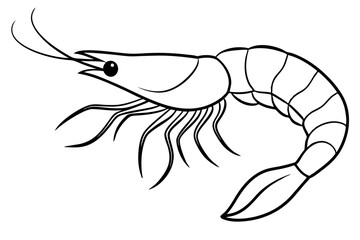 shrimp silhouette line art vector illustration with a white background