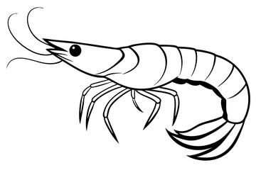 shrimp silhouette line art vector illustration with a white background