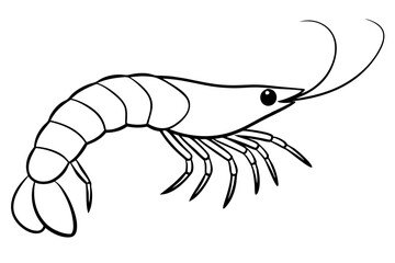 shrimp silhouette line art vector illustration with a white background