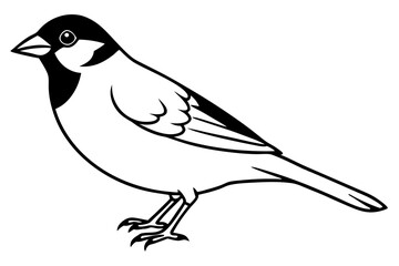 sparrow silhouette line art vector illustration with a white background