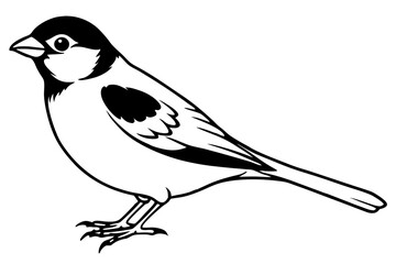 sparrow silhouette line art vector illustration with a white background