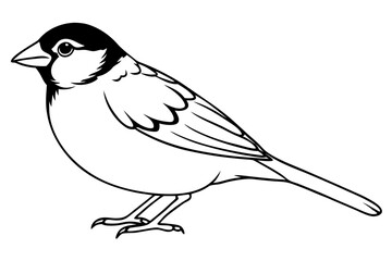sparrow silhouette line art vector illustration with a white background