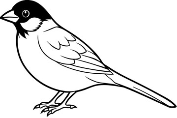 sparrow silhouette line art vector illustration with a white background