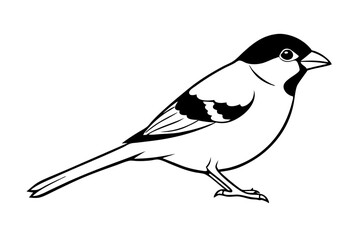 sparrow silhouette line art vector illustration with a white background