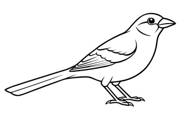 sparrow silhouette line art vector illustration with a white background