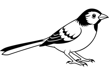sparrow silhouette line art vector illustration with a white background
