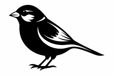 sparrow silhouette line art vector illustration with a white background