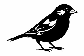 sparrow silhouette line art vector illustration with a white background