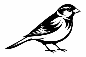 Obraz premium sparrow silhouette line art vector illustration with a white background