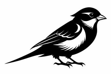 sparrow silhouette line art vector illustration with a white background