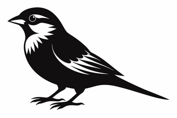 sparrow silhouette line art vector illustration with a white background