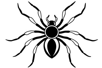 spider silhouette line art vector illustration with a white background