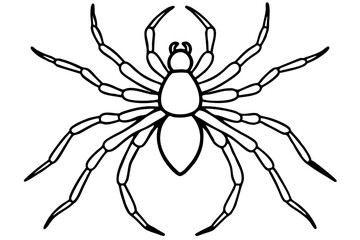 spider silhouette line art vector illustration with a white background